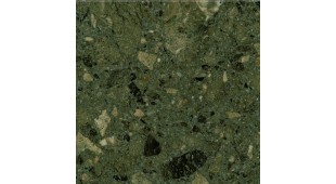 Rasotica